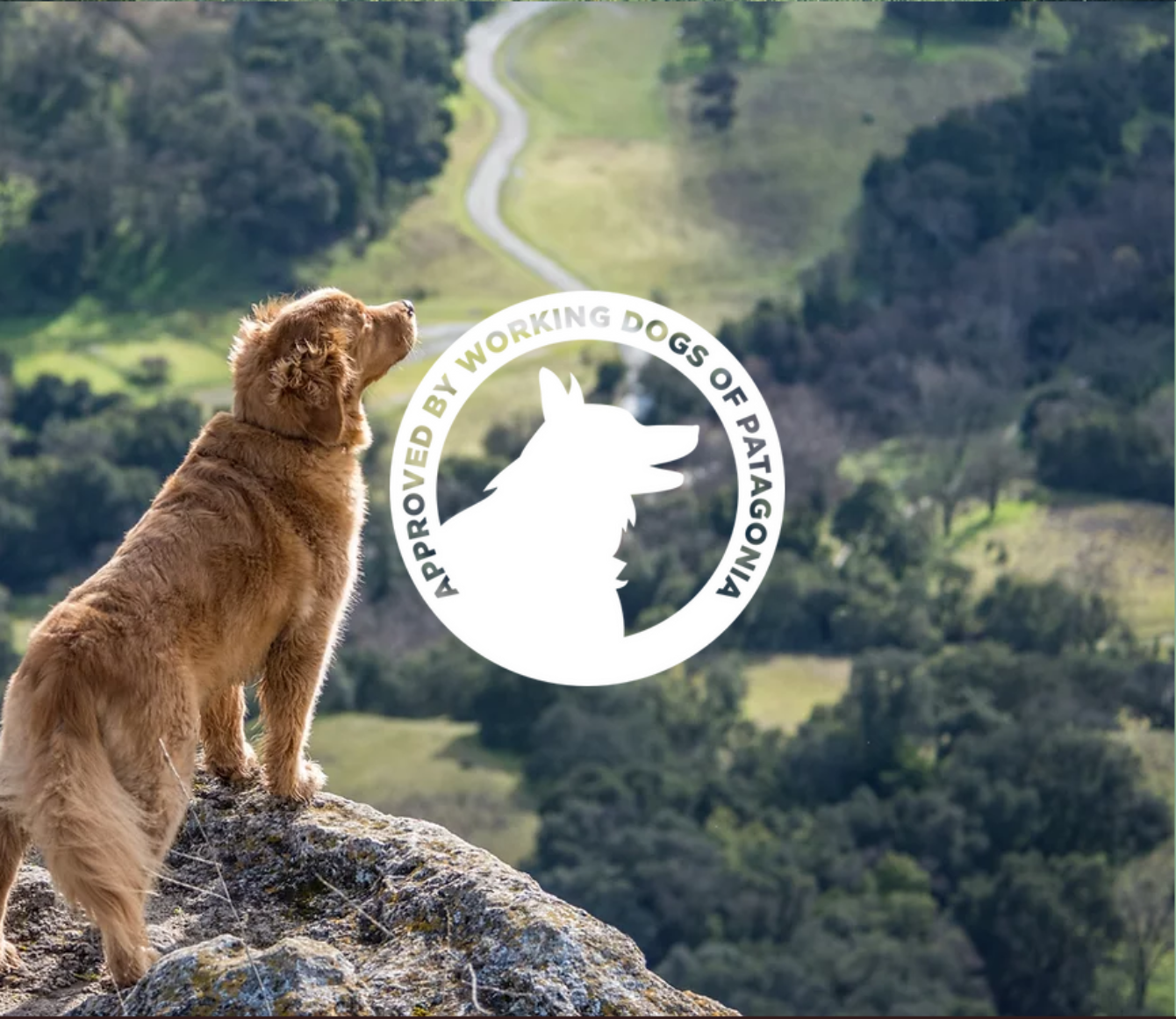 Wild Patagonian – Seal of Approval Design